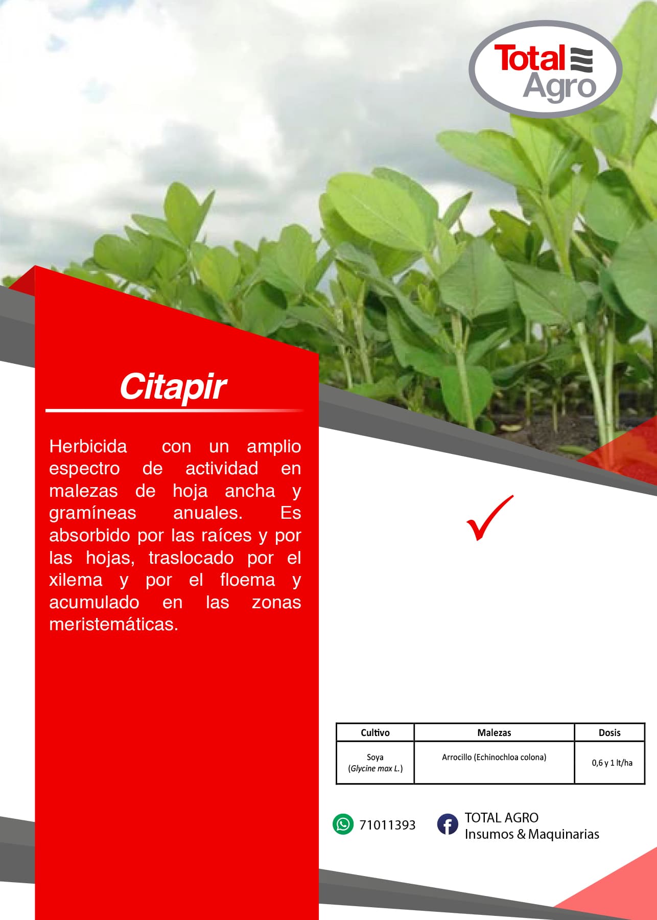 CITAPIR