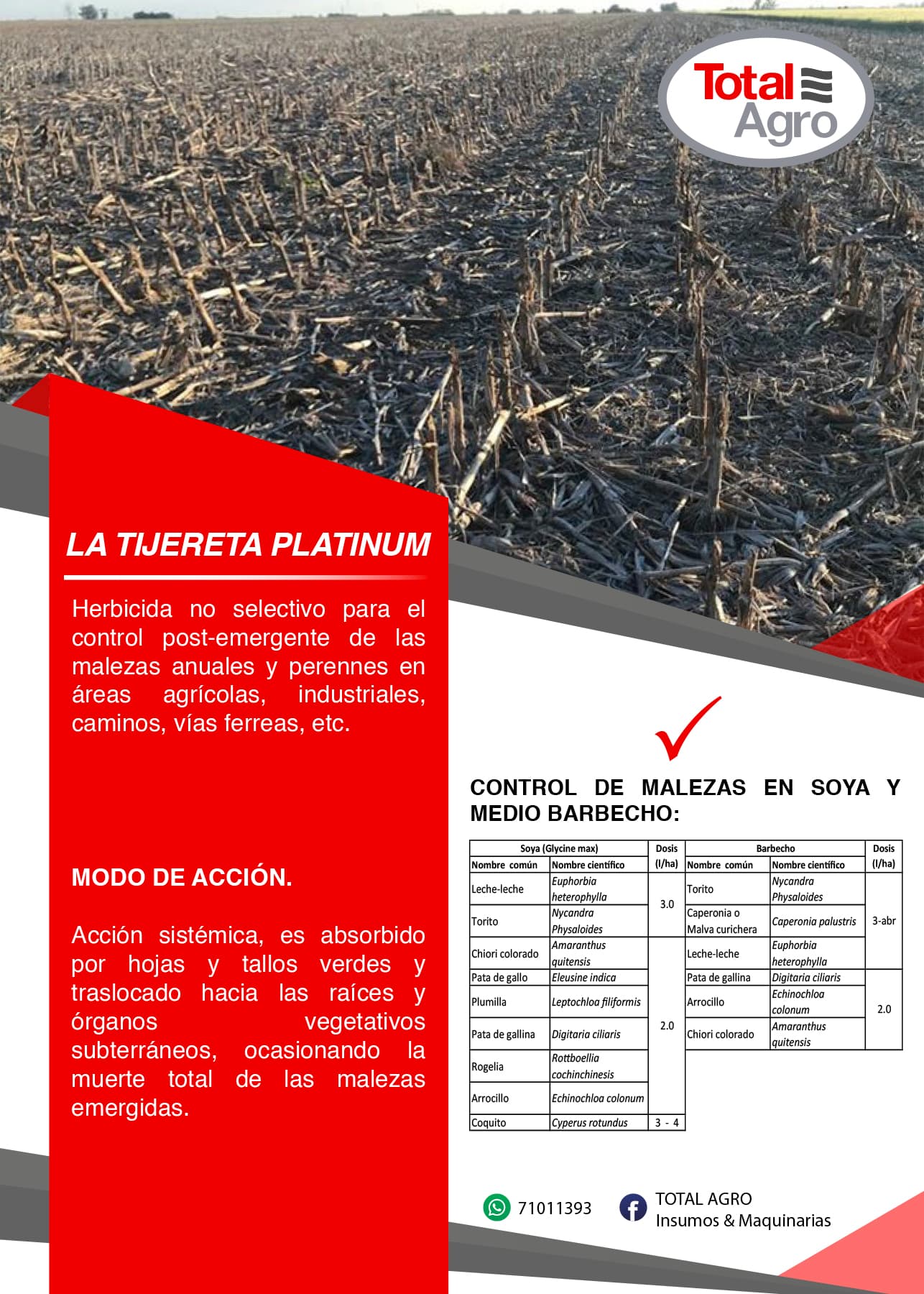 LA TIJERETA PLATINUM