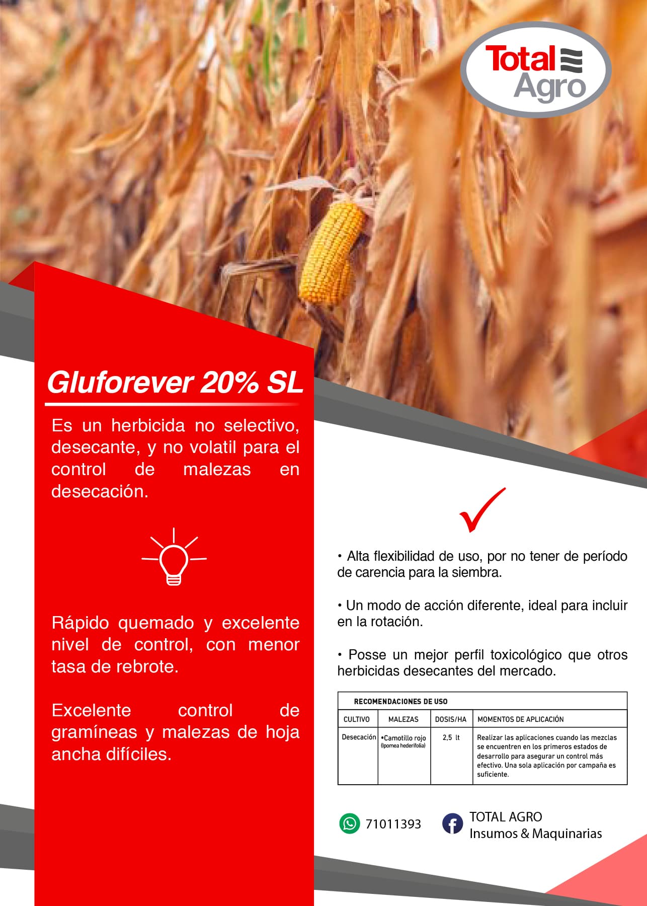GLUFOREVER 20% SL