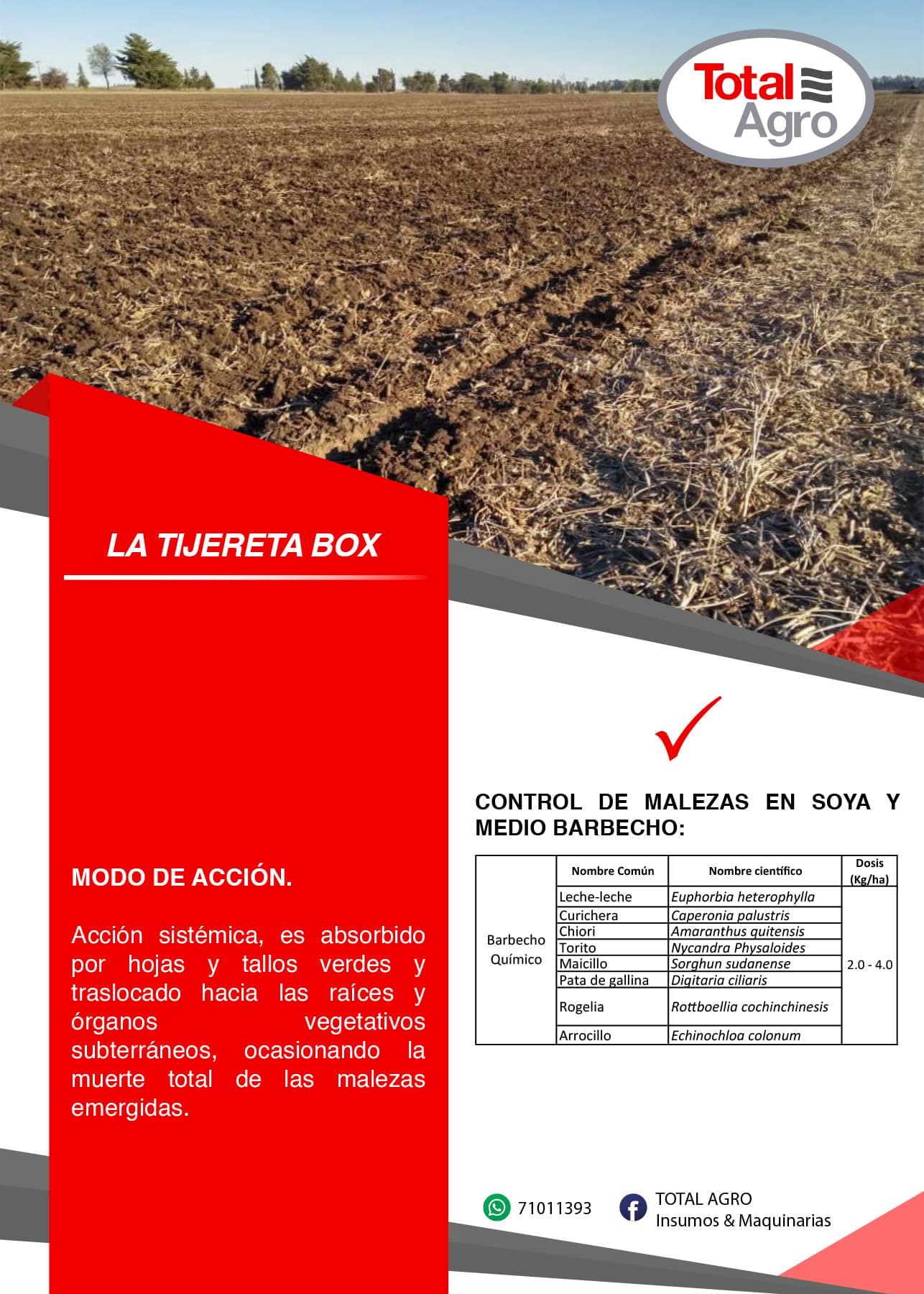 LA TIJERETA BOX