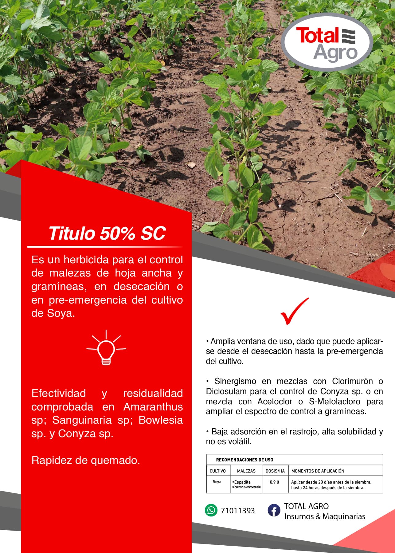 TITULO 50% SC