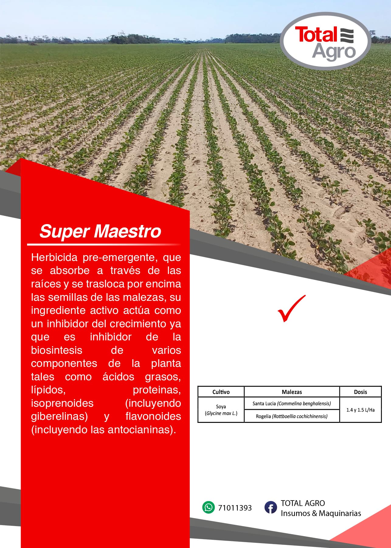 SUPER MAESTRO